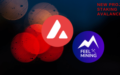 Feel Mining lance son offre de staking sur Avalanche