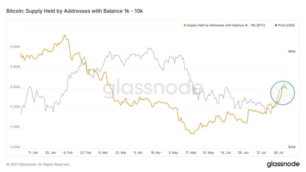 glassnode