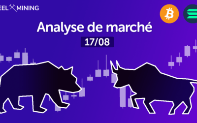 Bitcoin en route pour les 50 000 $ ? Analyse de marché du 17/08