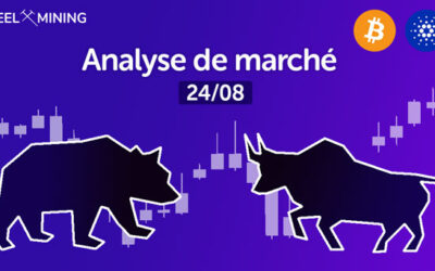 Le marché continue son avancée : analyse de marché du 24/08