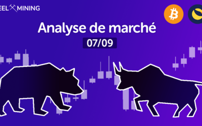 Un marché au vert : analyse de marché du 07/09