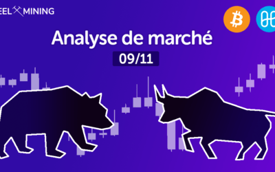 Analyse de marché : 09/11