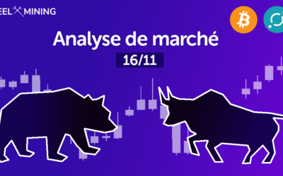 Analyse de marché : 16/11