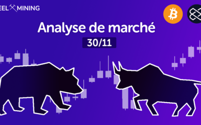 Analyse de marché : 30/11