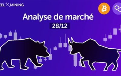 Analyse de marché : 28/12