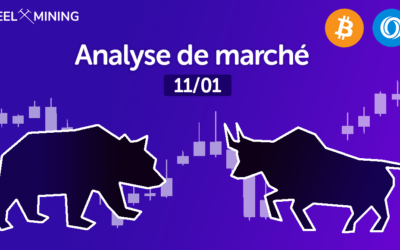 Analyse de marché : 11/01