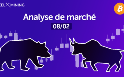 Analyse de marché : 08/02