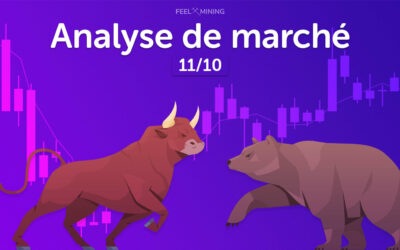 Analyse de marché : 11/10