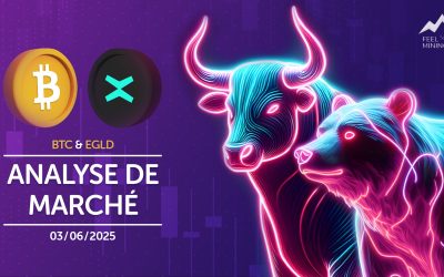 Analyse de marché : 03/06